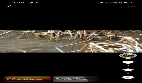 三角洲行动怎么自行下载更新包（给我一个《三角洲行动》更新包的下载链接）